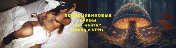 МДПВ Бердск