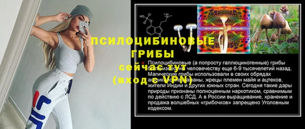 apvp Алексеевка