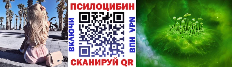 Галлюциногенные грибы мицелий  цены   Тосно 